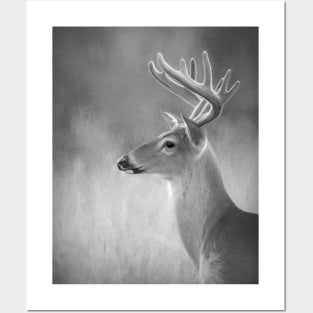 White-tailed deer in Black and White Posters and Art